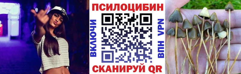 гидра рабочий сайт  Кораблино  Псилоцибиновые грибы мицелий  где купить наркотик 